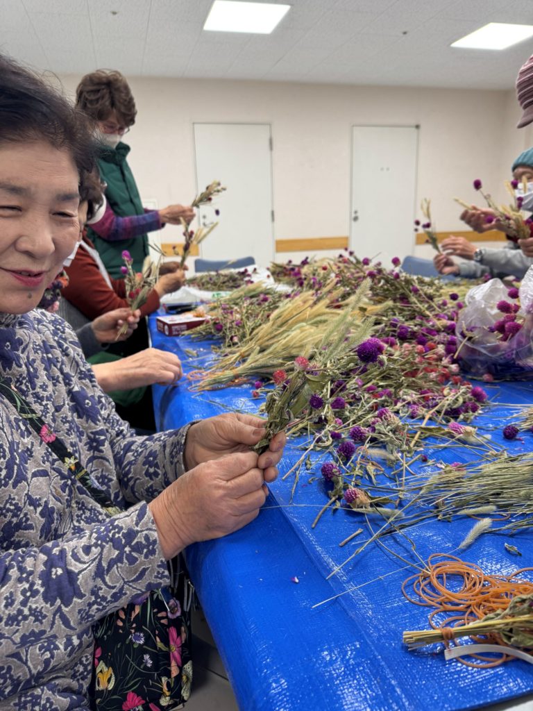 花壇で栽培した花のドライフラワー（千日紅etc）